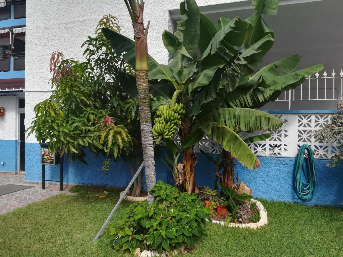 Acogedor Estudio Con Piscina Y Cerca De La Playa Puerto de la Cruz  Zewnętrze zdjęcie